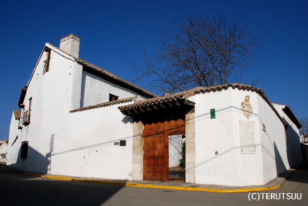 �o�D�����P �B�e �~���[�W�J���w���E�}���`���̒j�x�T���`�� �G�X�L�r�A�X�̃Z���o���e�X�̉Ɣ�����