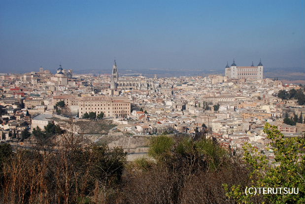 �o�D�����P �B�e �~���[�W�J�� ���E�}���`���̒j �T���`�� �X�y�C���̌Ós�g���h