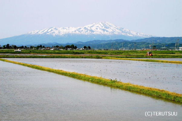 �o�D�����P �B�e �R�`���������� ���C�R