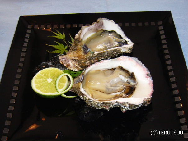 �o�D�����P �R�`�s���c�V���E�T�g�E ���{�C �≲�y�C���K�L