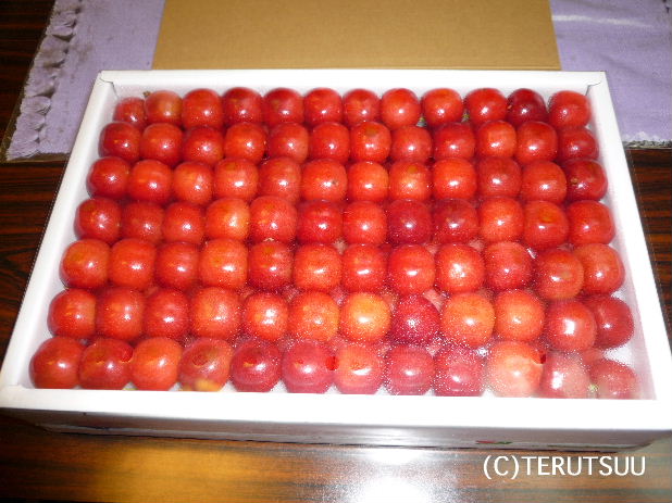 �o�D�����P �R�`���Y�T�N�����{������ 