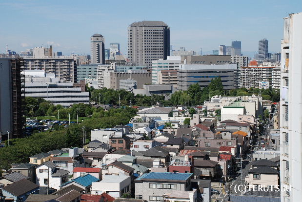 �o�D�����P