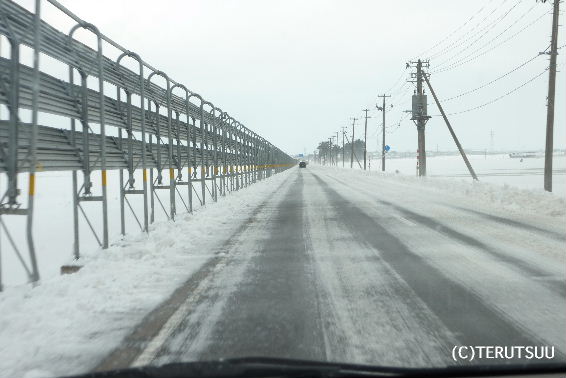 �o�D�����P �R�`�������n�� �u���U�[�h�n����