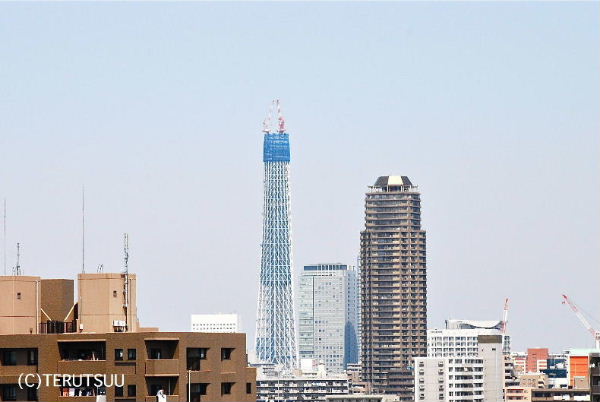 �o�D�����P�B�e �����X�J�C�c���[