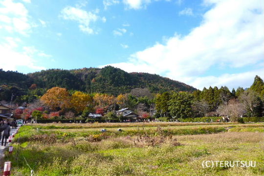 �o�D�����P�B�e ���s����� ���`�� ������