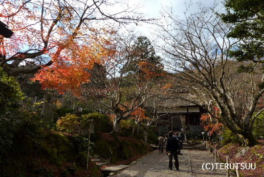 �o�D�����P�B�e ���s����� ���q�R �������g�t