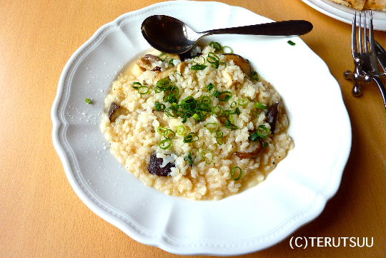 �o�D�����P �R�`�� �A���E�P�b�`�@�[�m