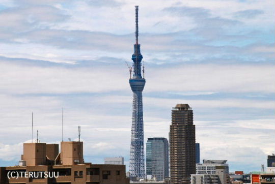 �o�D�����P�B�e �����X�J�C�c���[