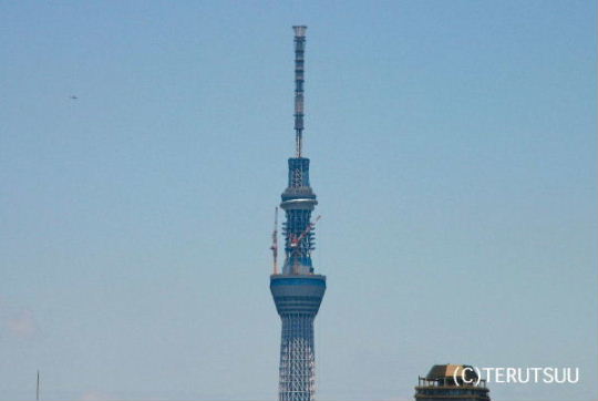 �o�D�����P�B�e �����X�J�C�c���[