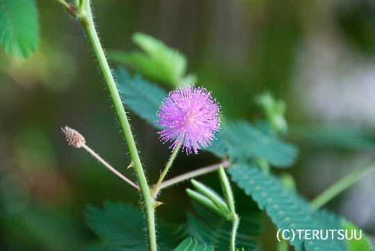 �o�D�����P�B�e ��������