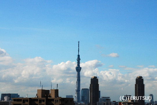 �o�D�����P�B�e �ċ�̓����X�J�C�c���[