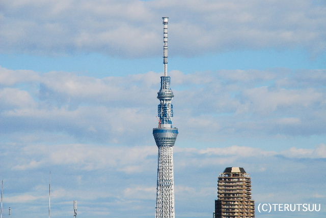 �o�D�����P�B�e �����X�J�C�c���[ �Ō�̃N���[��