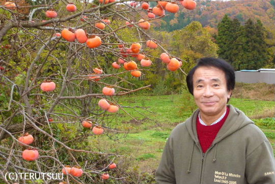 �o�D�����P �V������ �V���΂܂�