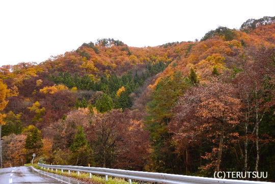 �o�D�����P�B�e �яH�̓V������