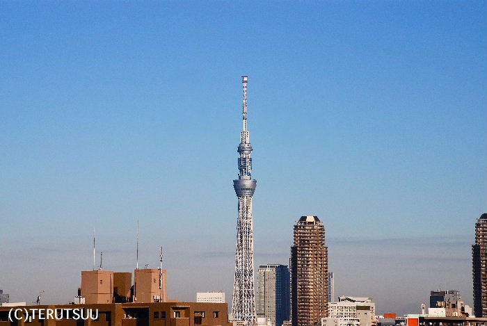 �o�D�����P�B�e �����X�J�C�c���[ �G�꓀�Ԃ� �]��