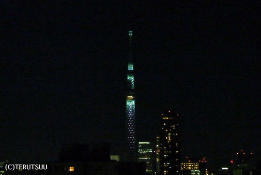 �o�D�����P�B�e �����X�J�C�c���[��ԏƖ�