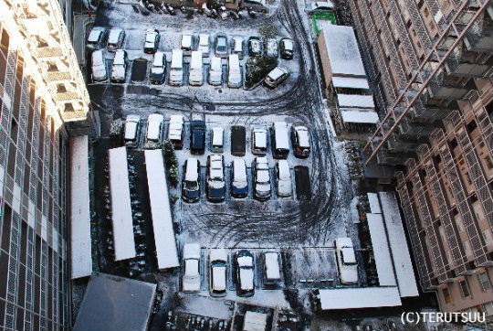 �o�D�����P�B�e �����̐�