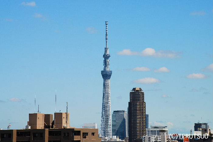 �o�D�����P�B�e �����X�J�C�c���[