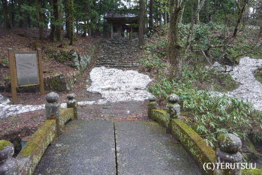 �o�D�����P�B�e �H���R���V�@�r�V���H���C�����{����