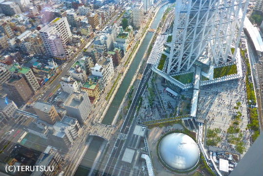 �o�D�����P�B�e �X�J�C�c���[ �\���}�`