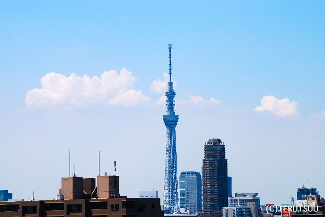 �o�D�����P�B�e �X�J�C�c���[�o�� �ĉ_