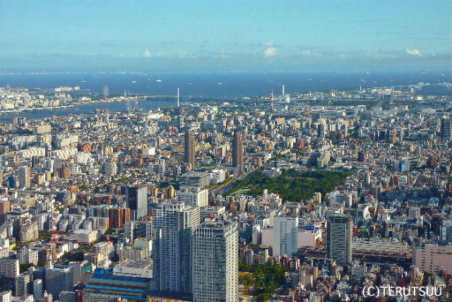 �o�D�����P�B�e �X�J�C�c���[���瓌���p�̒���