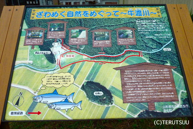 �o�D�����P �R�`���V�������֛z���� ���n��