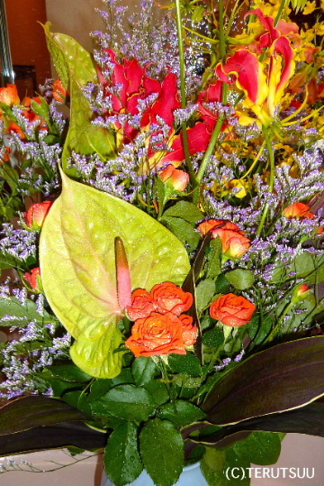 �o�D�����P �]�ڑ�ꏬ�w�Z�n��50���N�L�O�u��