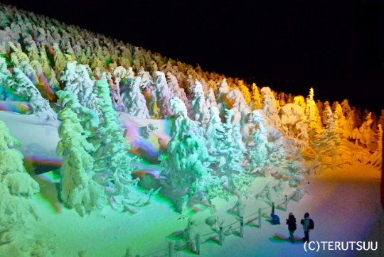 �o�D�����P �����n���R���X��