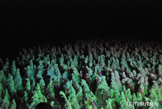 �o�D�����P �R�`�����n���R���X��