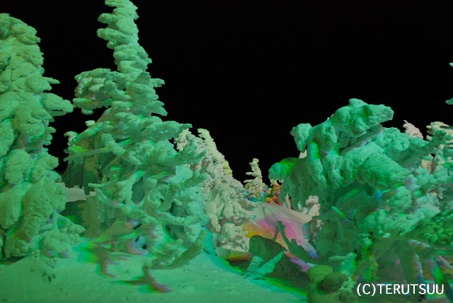 �o�D�����P �R�`�����n���R���X��