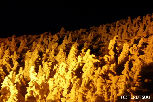 �o�D�����P �R�`�����n���R���X��