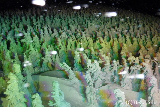 �o�D�����P �R�`�����n���R���X��