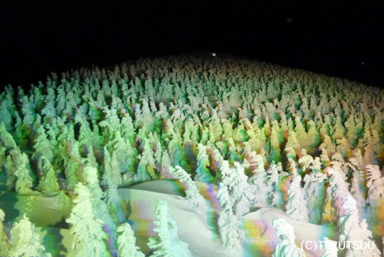 �o�D�����P �R�`�����n���R���X��