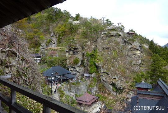 �o�D�����P�B�e �R�����Ύ�