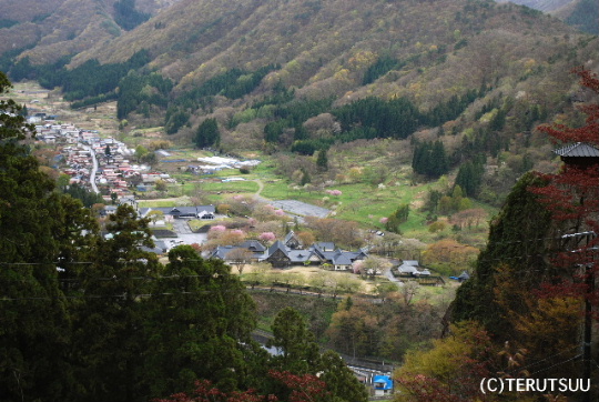 �o�D�����P�B�e �R�����Ύ�