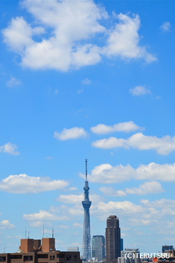 �o�D�����P�B�e �X�J�C�c���[