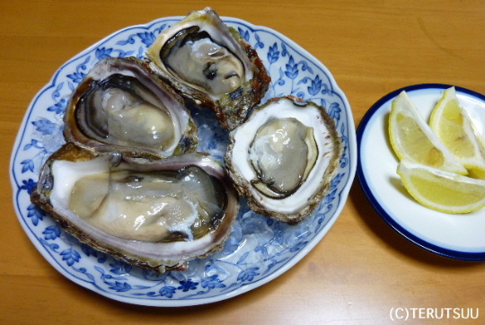 �o�D�����P �R�`���{�C�̊�K�L