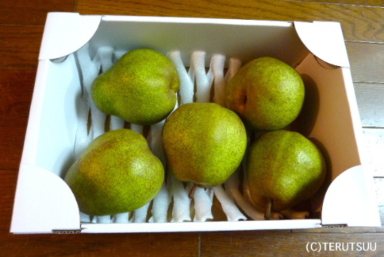 �o�D�����P ��R�s�×q ���t�����X