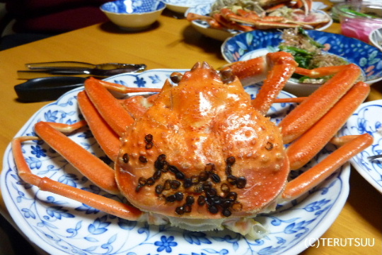 �o�D�����P ��c�s�݂ȂƎs��g�Y���C�K�j