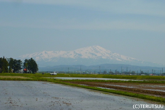 �o�D�����P ���������C�R��܂��ꂳ��