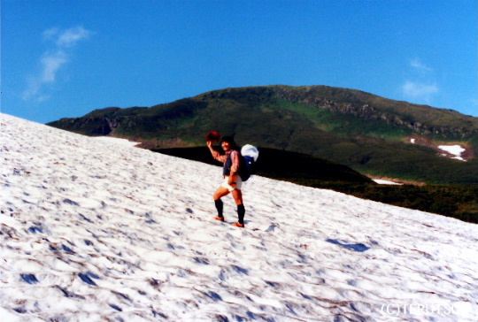 �o�D�����P ���C�R