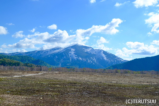 �o�D�����P�B�e �����P���E�����R