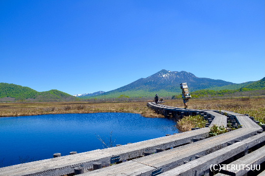 �o�D�����P�B�e �����P���E�r���Ƃڂ��������P�x