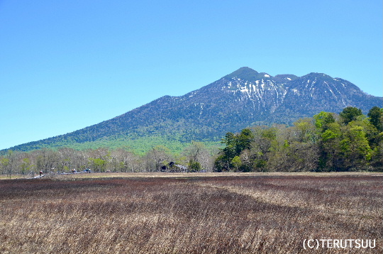 �o�D�����P�B�e �����P���E���{���������P�x