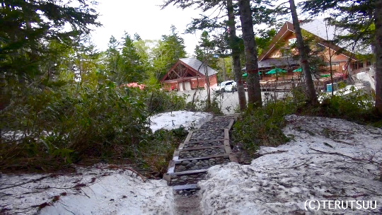 �o�D�����P�B�e �����E���R���x�e���o�X��