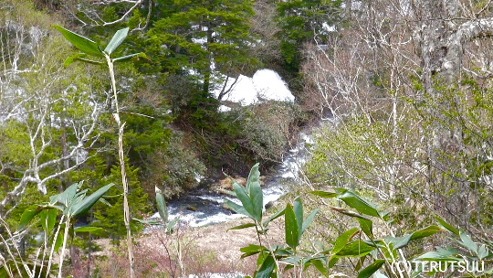 �o�D�����P�B�e �����E���K���猩����