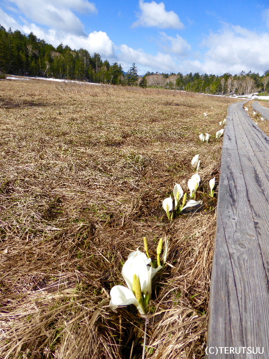 �o�D�����P�B�e �����E��]�����̐��m��