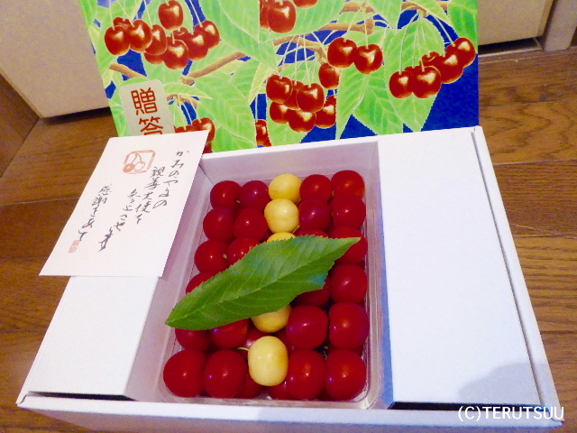 �o�D�����P �R�`����R�s�������ڍg�G��