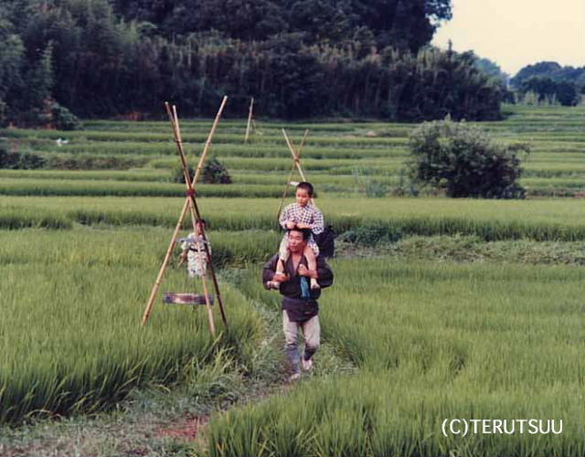 俳優佐藤輝 東宝映画 森川時久監督『次郎物語』作男直吉